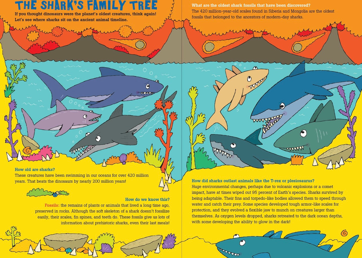 100　the　Questions　Sharks　About　–　WEE　People
