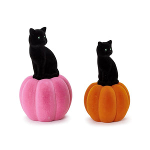 Small Black Cat on Orange Pumpkin