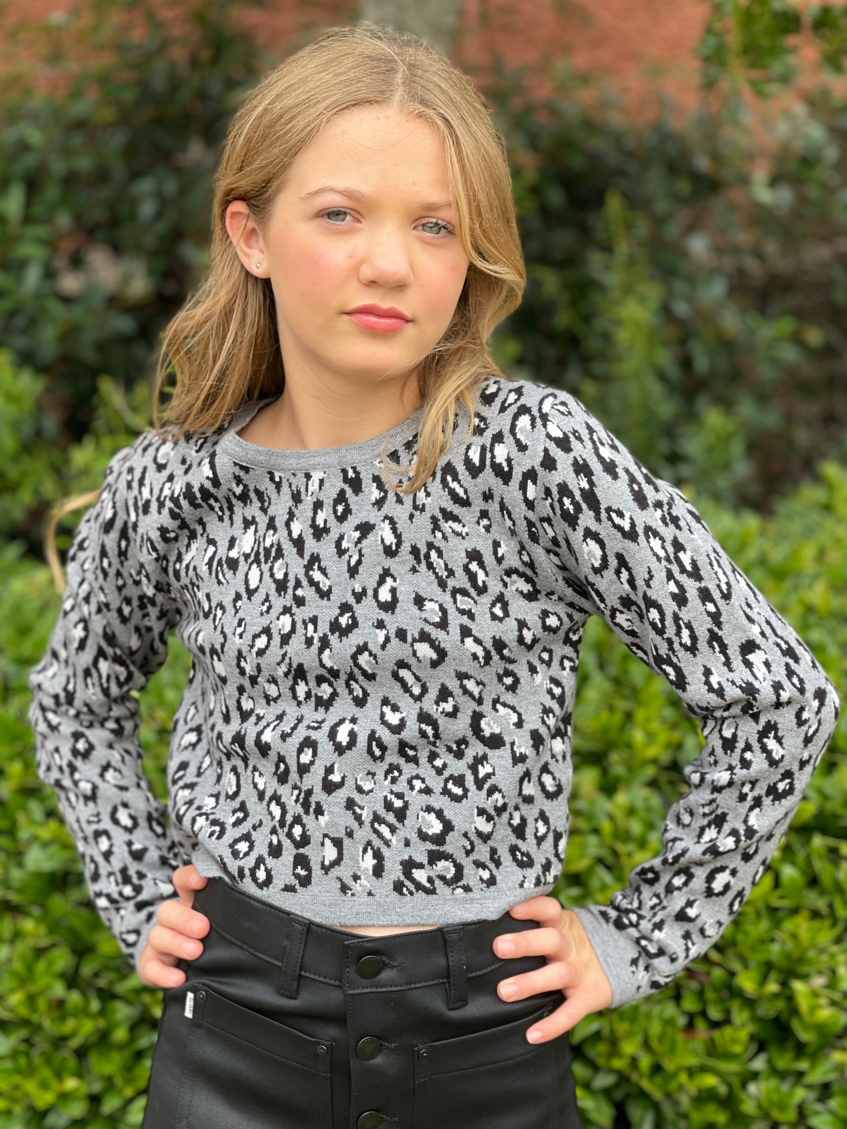 Leopard Cropped Sweater