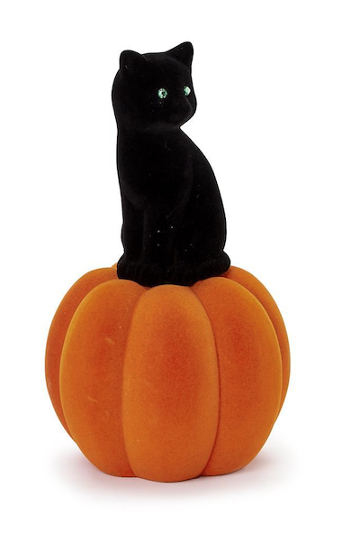 Small Black Cat on Orange Pumpkin